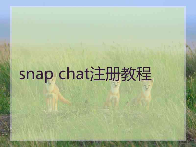 snap chat注册教程