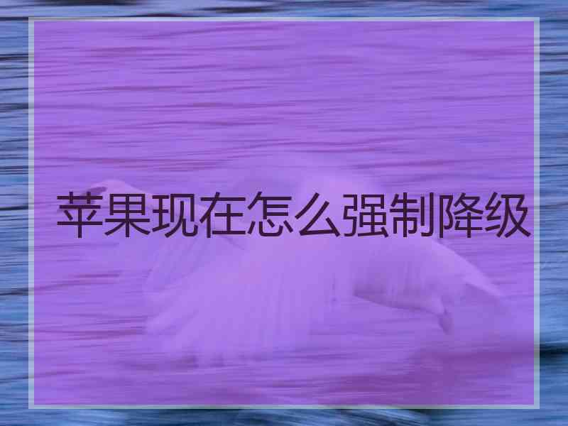 苹果现在怎么强制降级