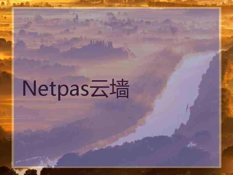 Netpas云墙