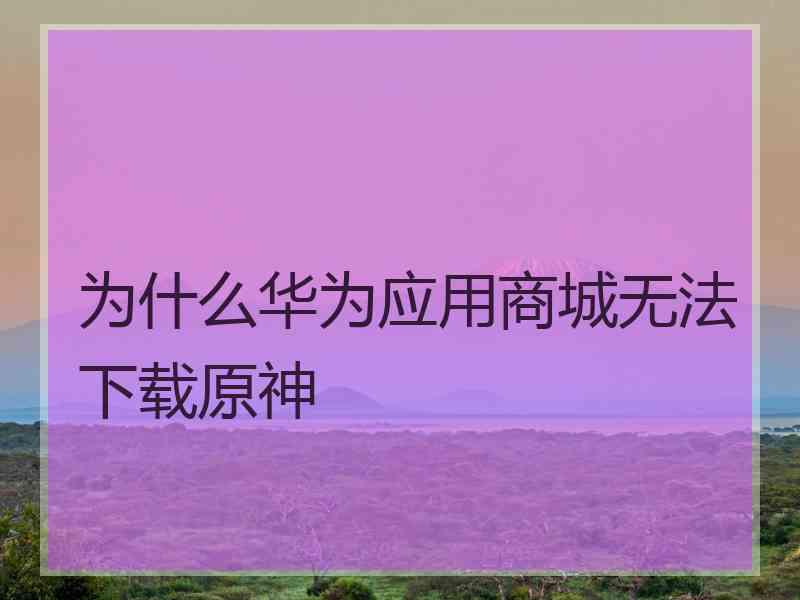 为什么华为应用商城无法下载原神