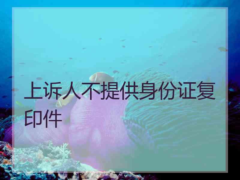 上诉人不提供身份证复印件