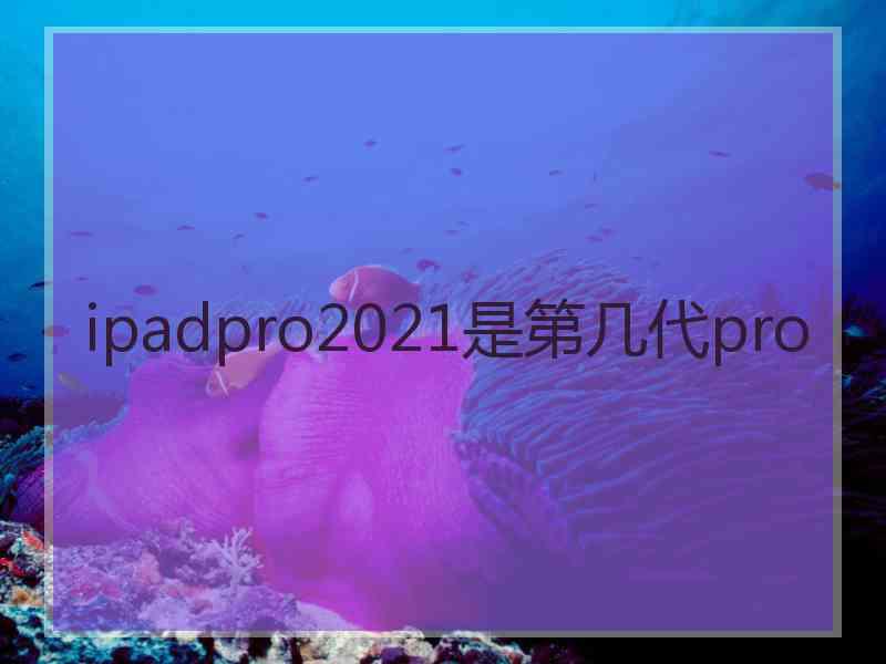 ipadpro2021是第几代pro