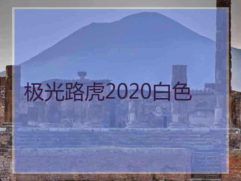 极光路虎2020白色