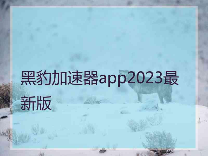 黑豹加速器app2023最新版