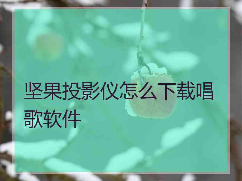 坚果投影仪怎么下载唱歌软件