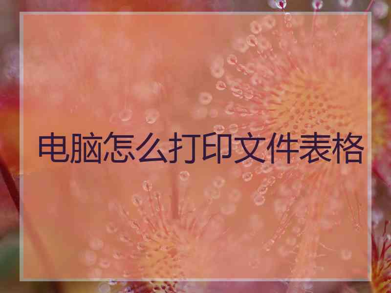 电脑怎么打印文件表格