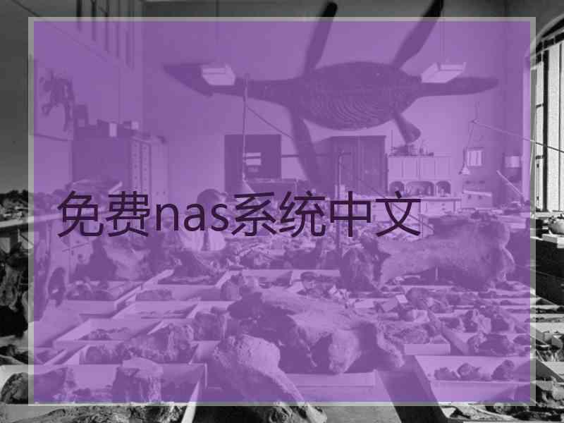 免费nas系统中文