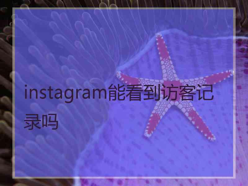 instagram能看到访客记录吗