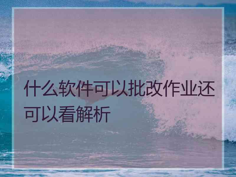 什么软件可以批改作业还可以看解析