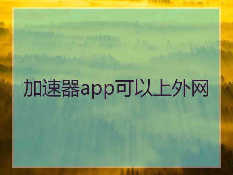 加速器app可以上外网