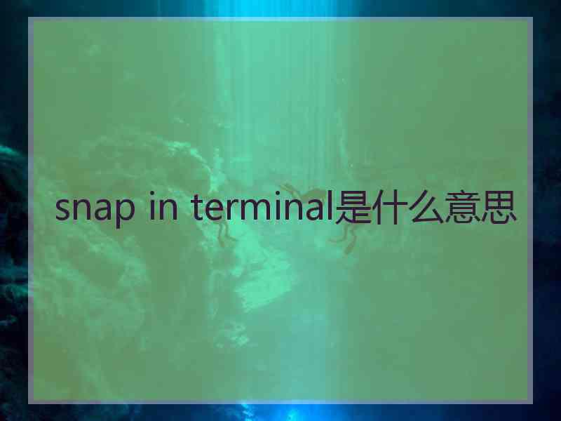 snap in terminal是什么意思