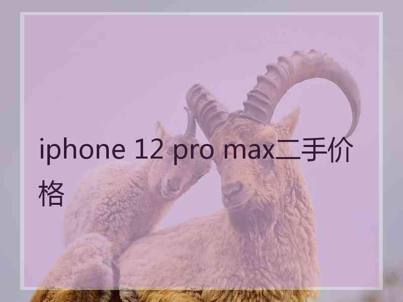 iphone 12 pro max二手价格