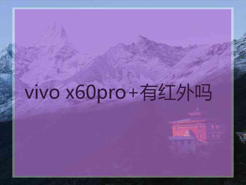 vivo x60pro+有红外吗