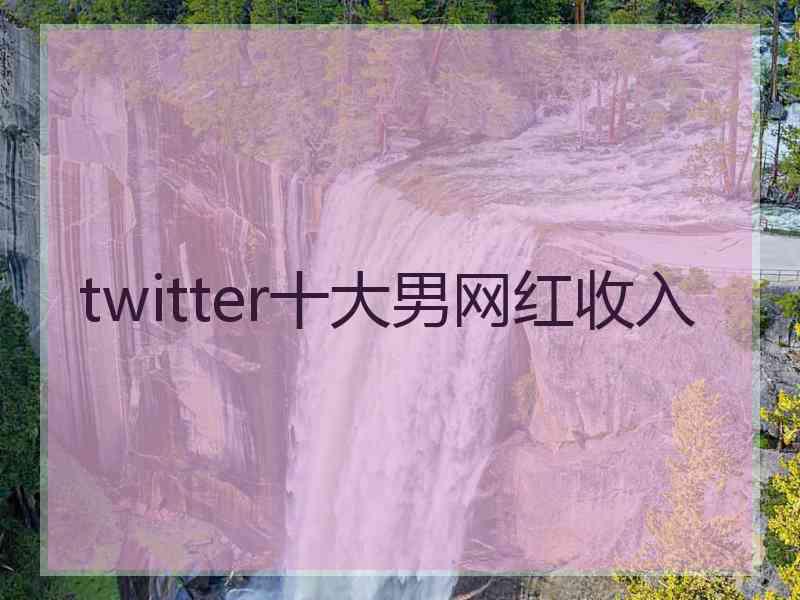 twitter十大男网红收入