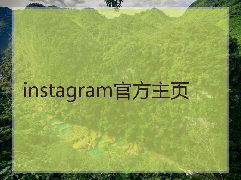 instagram官方主页