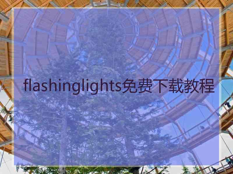 flashinglights免费下载教程