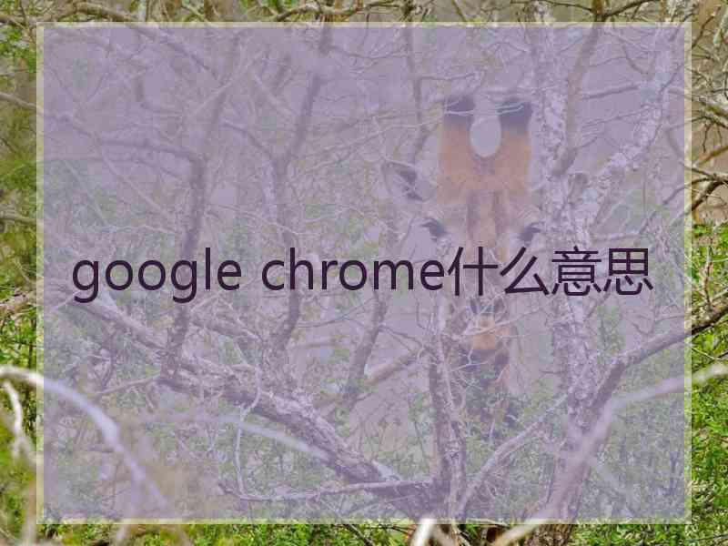 google chrome什么意思