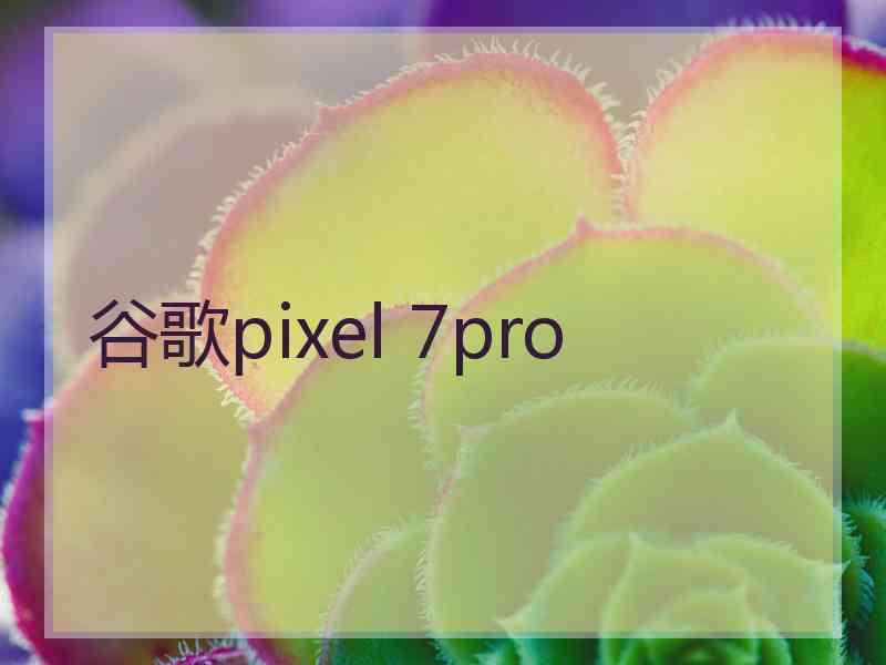 谷歌pixel 7pro