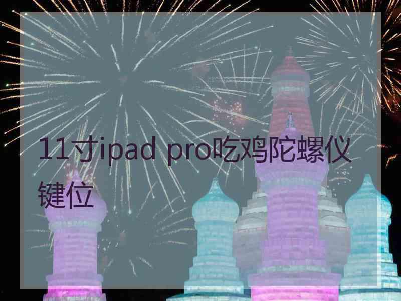 11寸ipad pro吃鸡陀螺仪键位