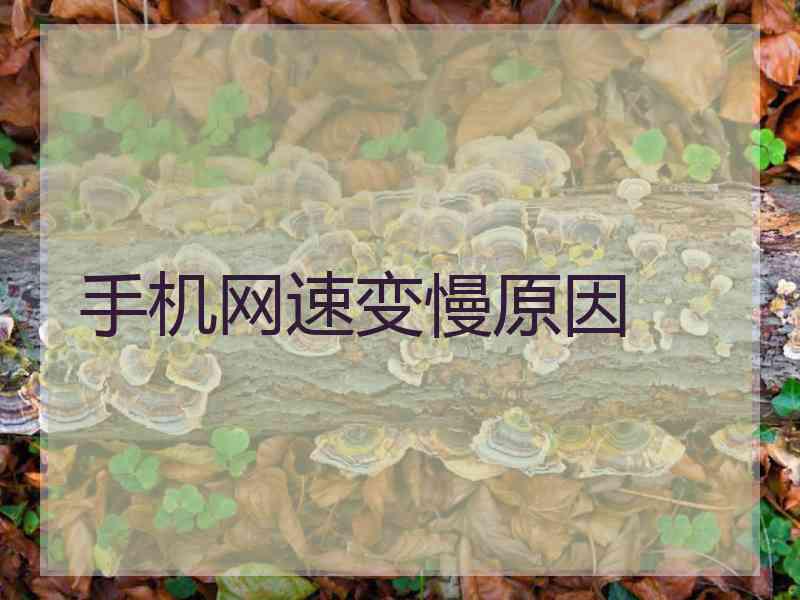 手机网速变慢原因