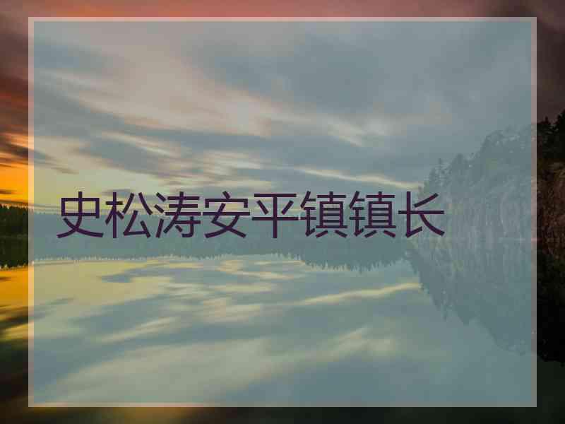 史松涛安平镇镇长