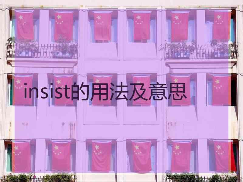 insist的用法及意思