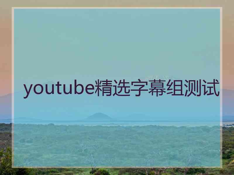 youtube精选字幕组测试