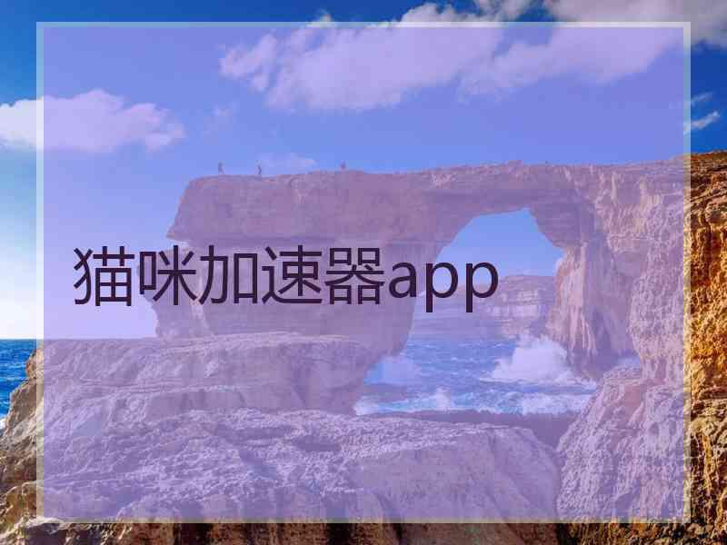 猫咪加速器app