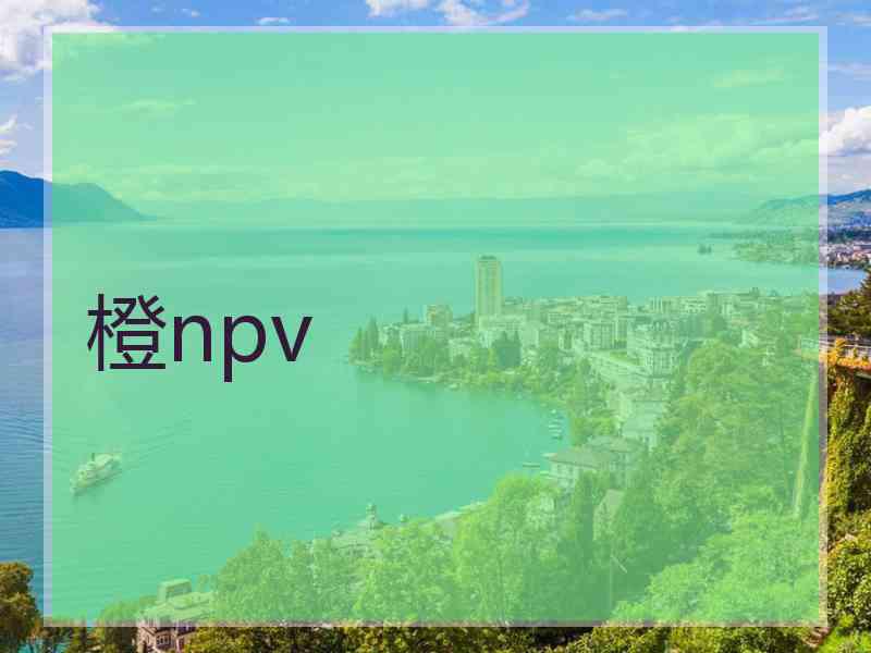 橙npv