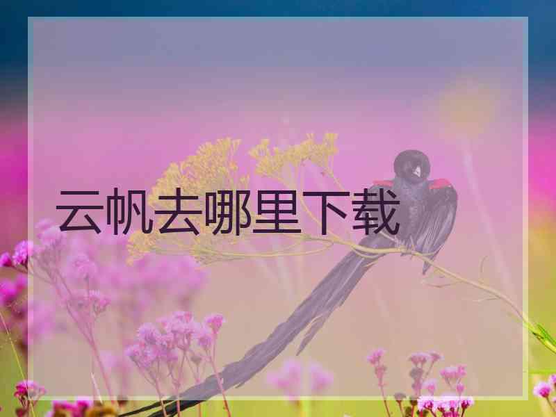 云帆去哪里下载