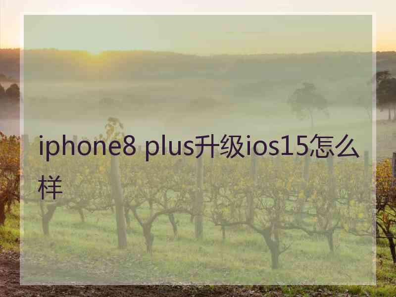 iphone8 plus升级ios15怎么样