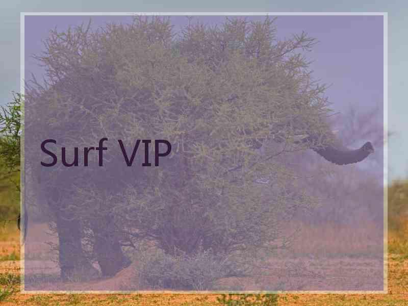 Surf VIP