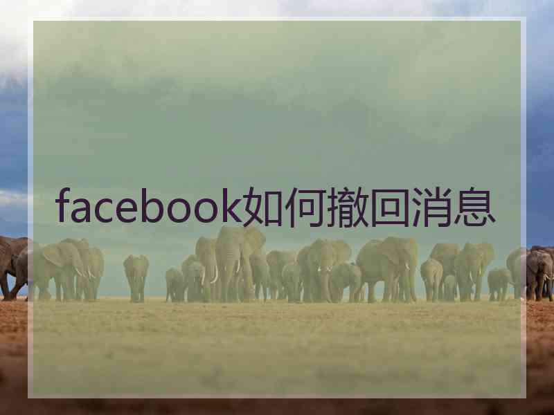 facebook如何撤回消息