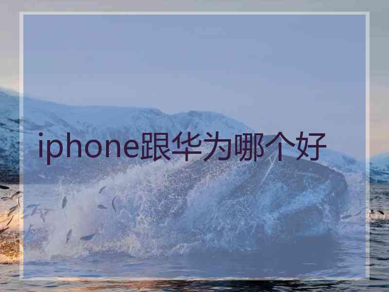 iphone跟华为哪个好