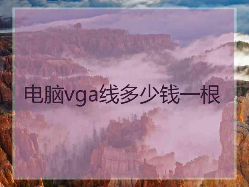 电脑vga线多少钱一根