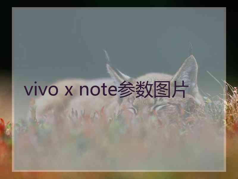 vivo x note参数图片