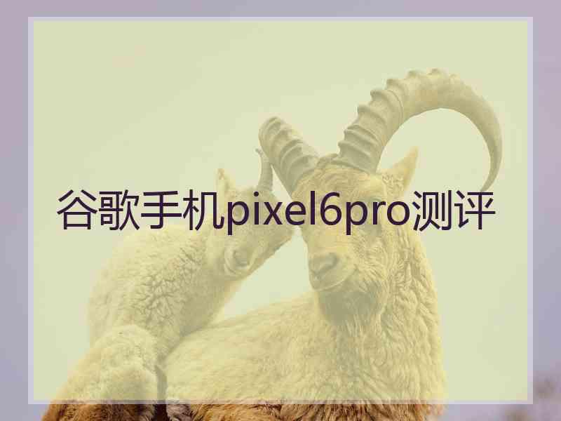 谷歌手机pixel6pro测评