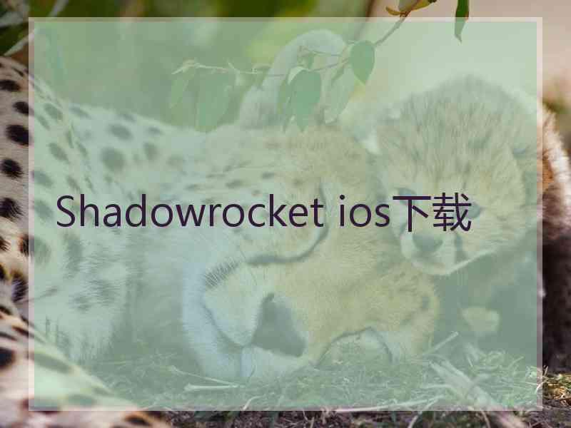 Shadowrocket ios下载