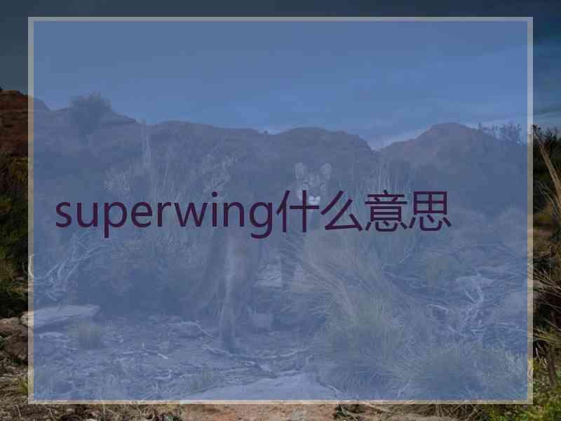 superwing什么意思