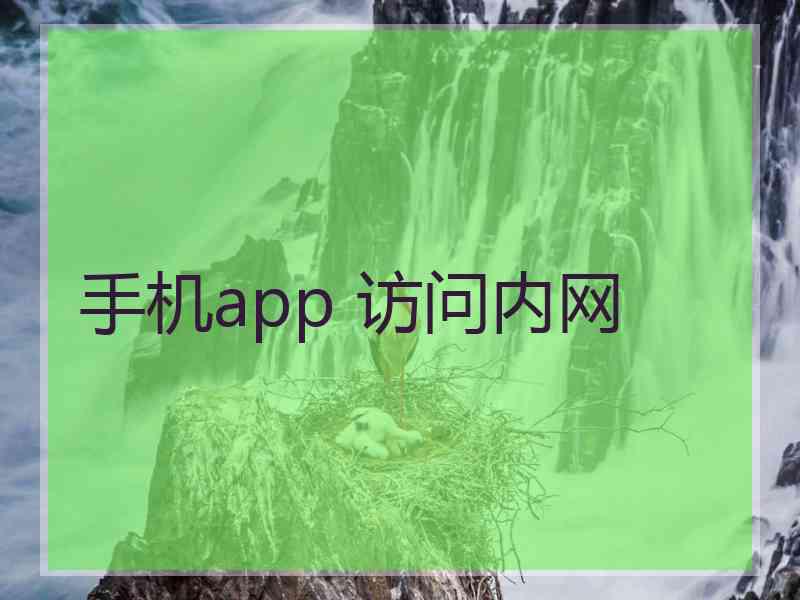 手机app 访问内网