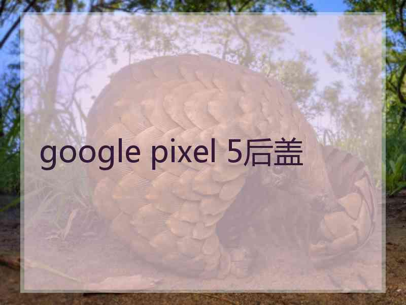 google pixel 5后盖