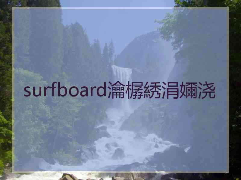 surfboard瀹樼綉涓嬭浇