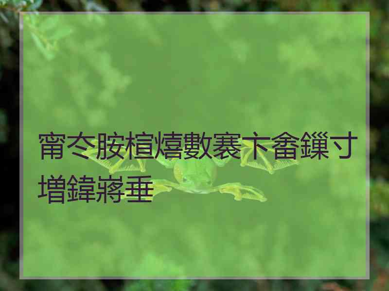 甯冭胺楦熺數褰卞畬鏁寸増鍏嶈垂