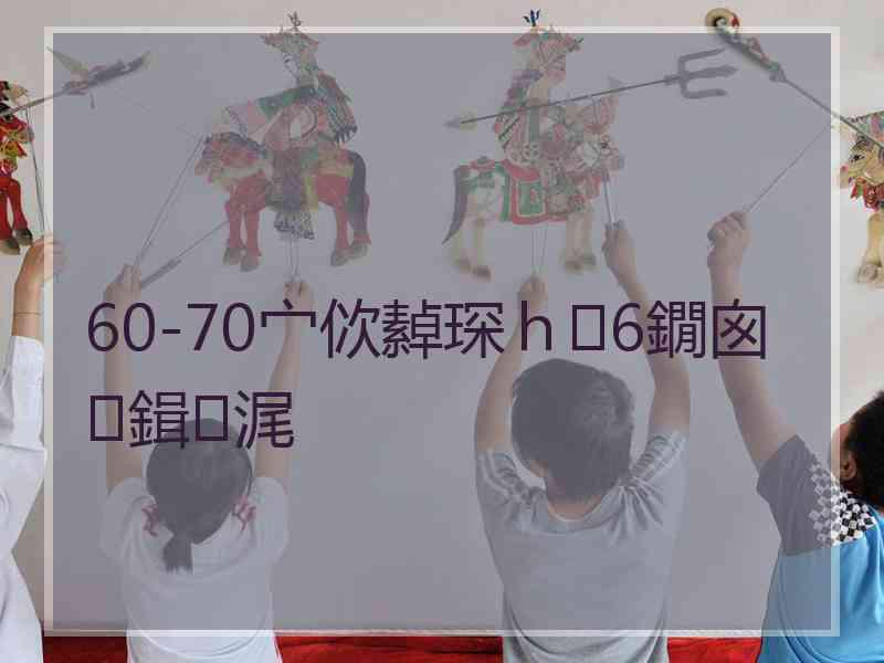 60-70宀佽繛琛ｈ6鐗囪鍓浘