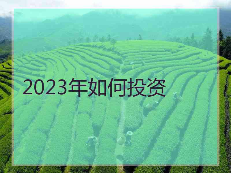 2023年如何投资