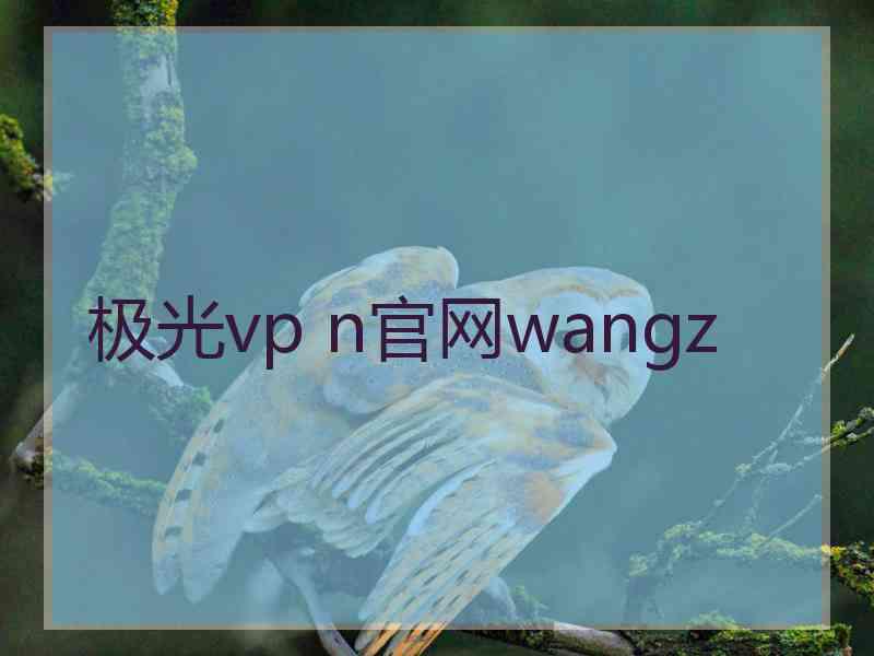 极光vp n官网wangz