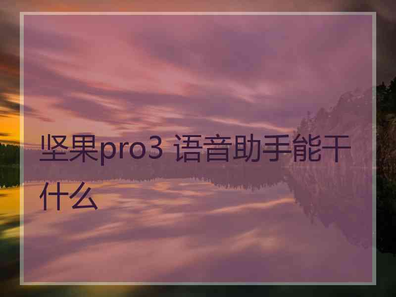 坚果pro3 语音助手能干什么