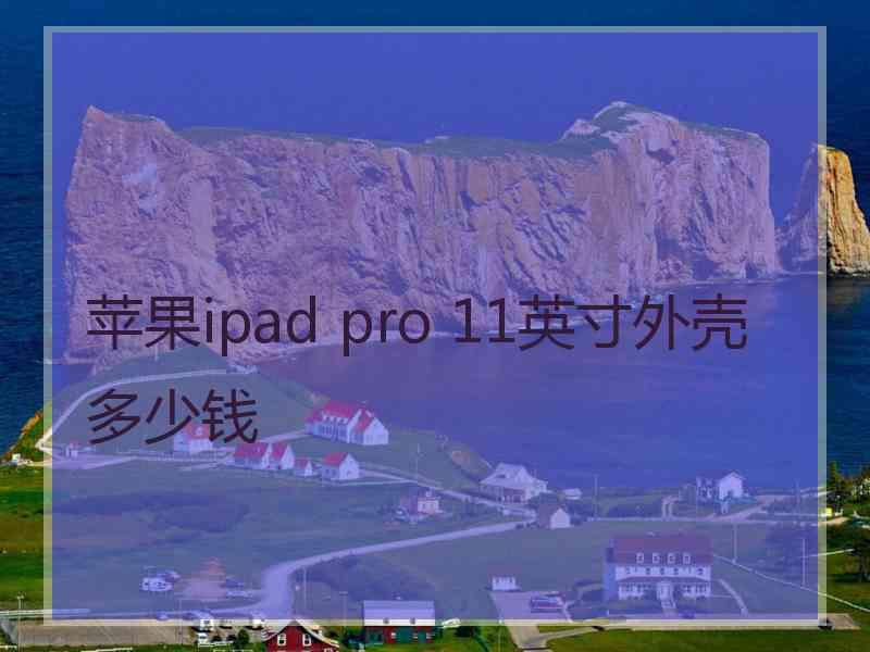 苹果ipad pro 11英寸外壳多少钱