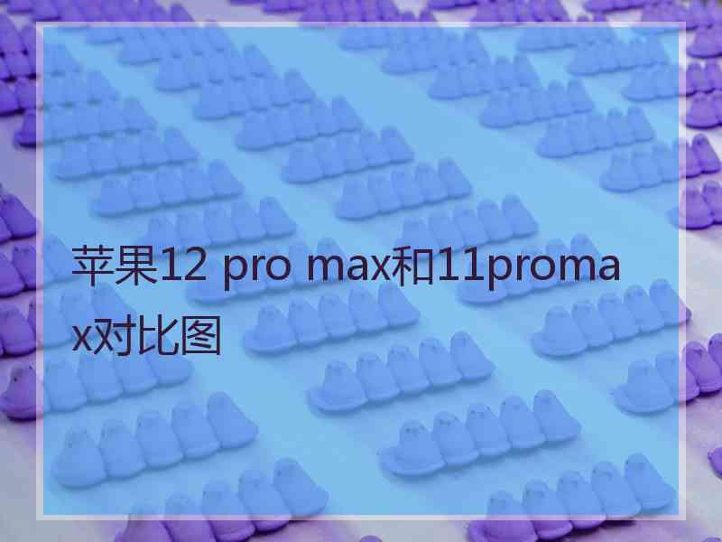 苹果12 pro max和11promax对比图