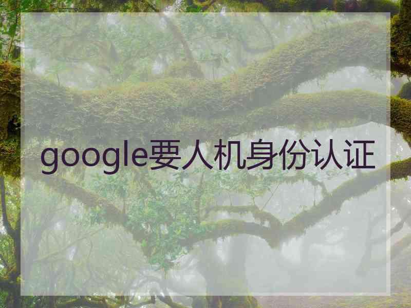 google要人机身份认证